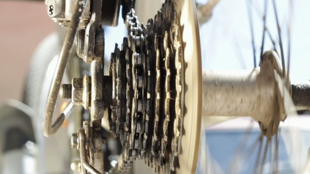 pinion and chain, bicycle detail