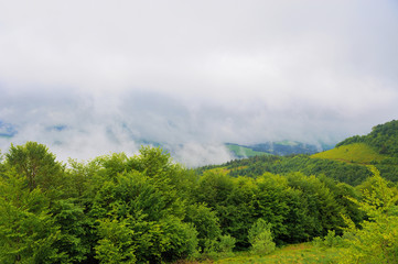 Landscape with fog in mountains