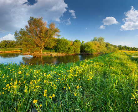 Beautiful summer landscape with the river