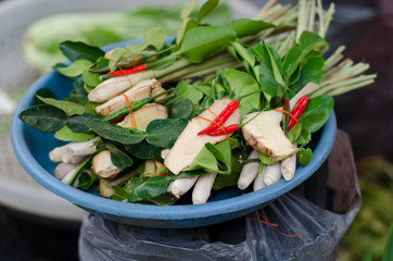 Set of tropical herb and ingredient prepared of cooking 