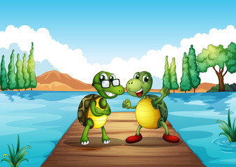 Two turtles standing at the diving board