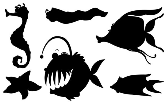 Sea creatures in its silhouette forms