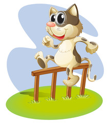 Fototapeta premium A cat sitting on a wooden stick