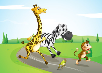 Naklejka premium Animals running at the street