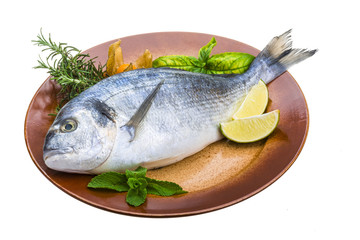 Fresh raw dorada