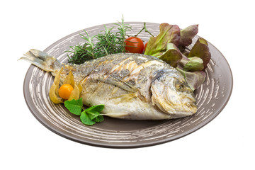 Dorado grilled