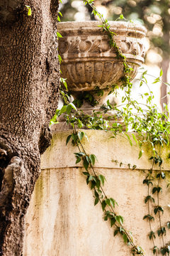 Vase with climbings