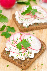 grain bread with soft cheese, radish and chives, vertical