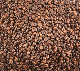 Coffee bean surface as a background