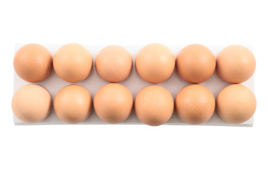 Dozen of eggs in a case isolated