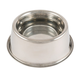 Pet's dog metal bowl isolated