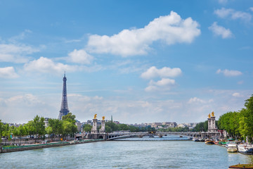 Fototapeta na wymiar Wieża Eiffla i Pont Alexandre III