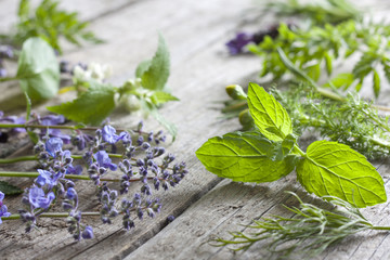 Fresh herbs on vintage boards aromatherapy background concept