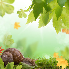 natur im einklang