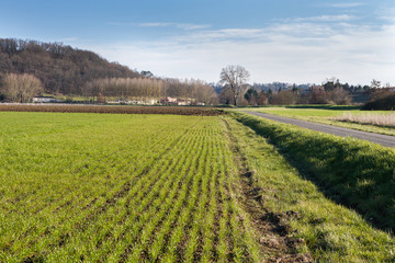 Campagne et Cultures