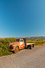 Old rusty pickup truck standing in winery landscape with blue sk