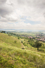 Fototapeta na wymiar Landscape of Collio, Gorizia