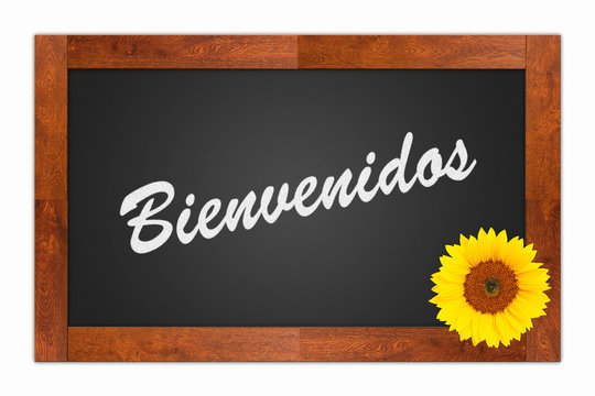 Bienvenidos Images – Browse 1,416 Stock Photos, Vectors, and Video