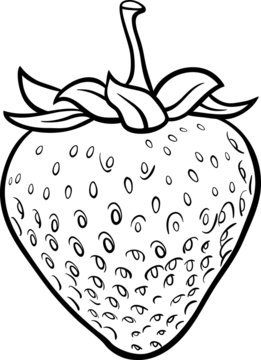 strawberry illustration for coloring book