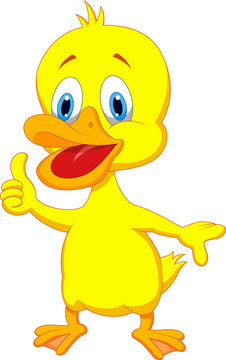Duck cartoon thumb up