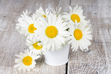 Fototapeta premium Blooming chamomile flowers in a bucket