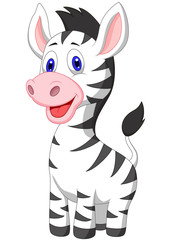 Fototapeta na wymiar Cute baby zebra cartoon