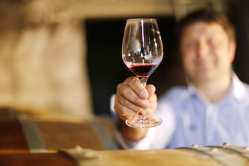 Vin © fovivafoto