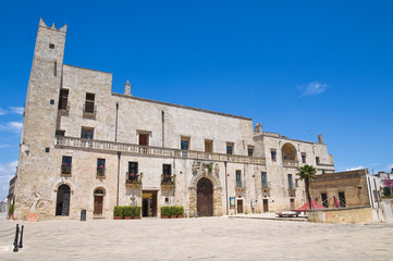 Fototapeta premium Risolo palace. Specchia. Puglia. Italy.