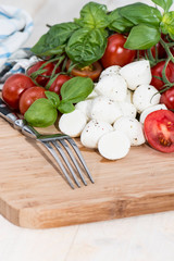 Fresh Tomatoes with Mozzarella