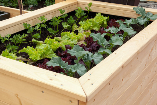 Gem&uuml;segarten
