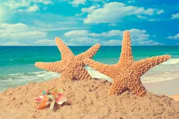 Fototapeta na wymiar Starfish On Beach