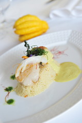 Close up Scallop seafood on kuskus appetizer with spices