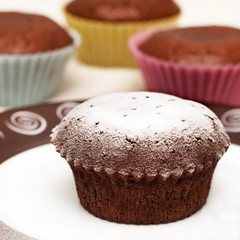 chocolate muffins