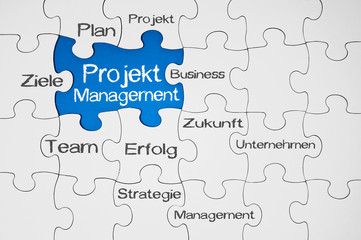 Puzzle in Blau mit Projektmanagement