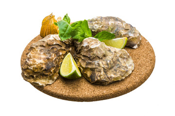 Fresh oyster
