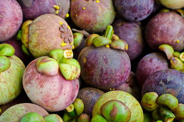 New fresh mangosteen