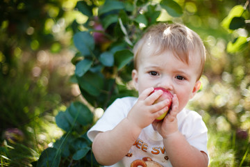 Baby eating an apple