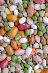 Beans salad