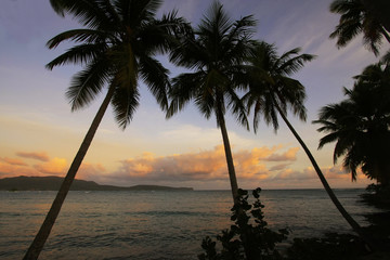 Silhouette of palm trees at sunrise, Las Galeras beach