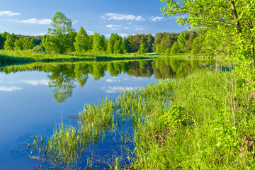 The last wild places. Landscape with Narew river.