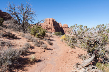 Following a Trail
