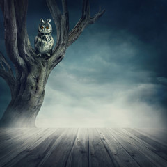 Owl sitting on the tree
