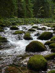 Górski potok 3 © gokusek