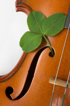Geige, Fiddle mit Kleeblatt
