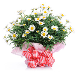 beautiful bouquet