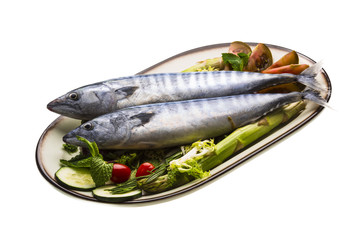 Fresh Atlanticmackerel