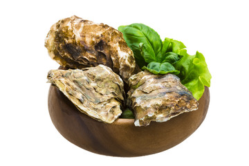 Fresh oyster