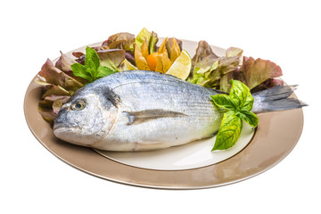Fresh raw dorada