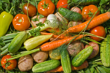 Heap of vegetables 9