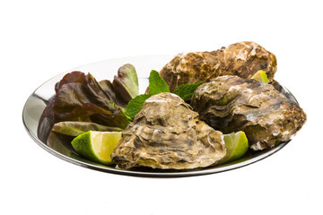 Fresh oyster